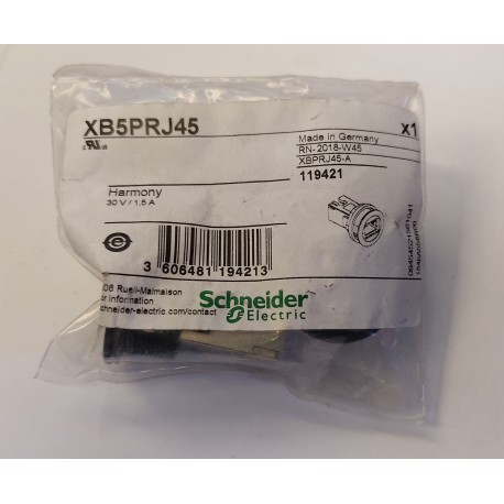 Schneider - Presa RJ45 schermata da pannello R22 - XB5PRJ45